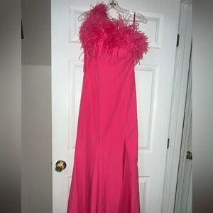 Elegant Pink Feathered Gown